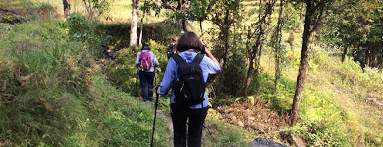 Trekking in Kalimpong